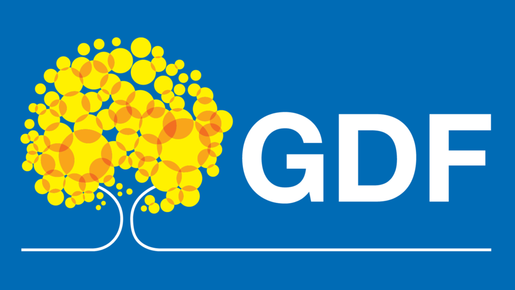 GDF - cliente BM2 Estratégia